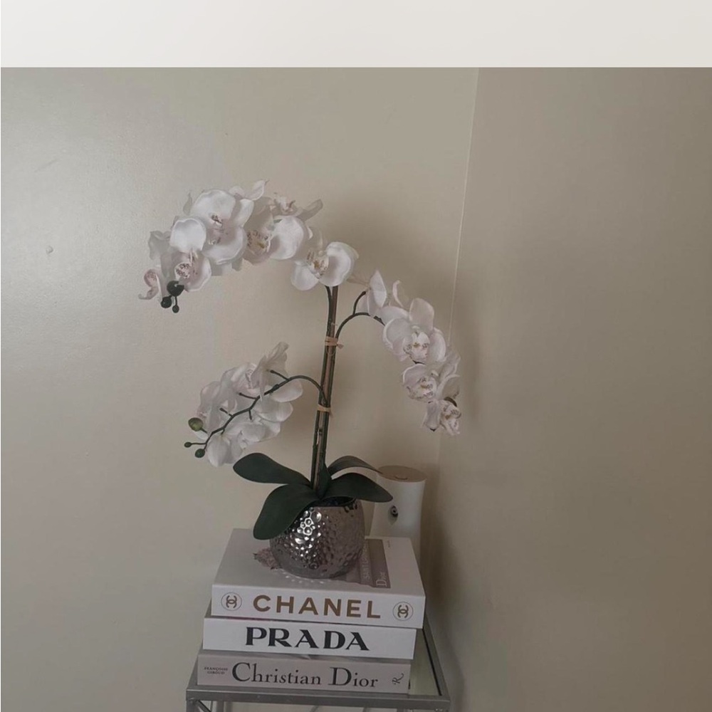 Books for decor brand new